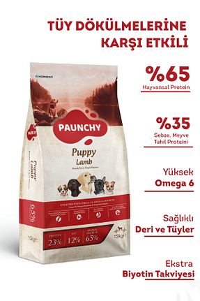  PAUNCHY - کد 862495993