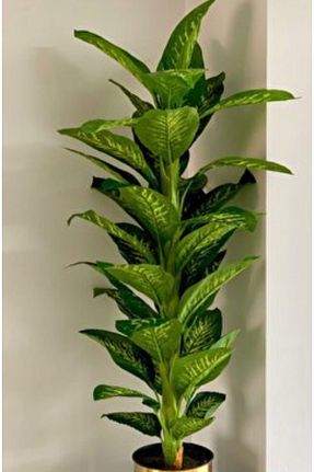 گل خشک و مصنوعی سبز RUZGARCİCEK - کد 862497918