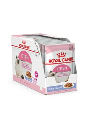  500 - 1000 gr Royal Canin - کد 4741145