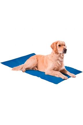 Avize Nunbell - کد 659738085