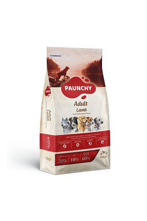  Yetişkin (1 - 7 سال) PAUNCHY - کد 862486015
