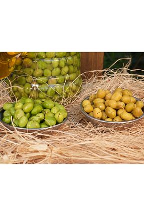 زیتون سبز Cem Zeytin - کد 862925131