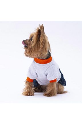  طوسی Pawstar - کد 862801923