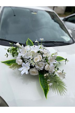 گل خشک و مصنوعی بژ Z&B FLOWERS - کد 863119066