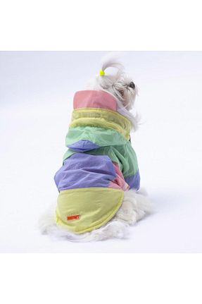  بنفش Pawstar - کد 863150127