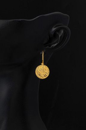 گوشواره طلا زرد زنانه 14 عیار Bilezikci - کد 453222066