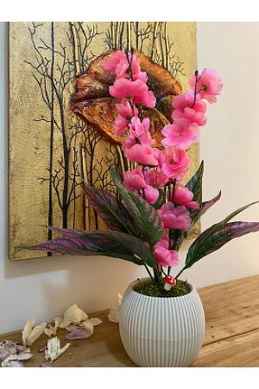 گل خشک و مصنوعی بژ La bella bazar - کد 864397544