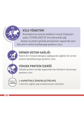 غذای خشک گربه Evet Royal Canin - کد 750115