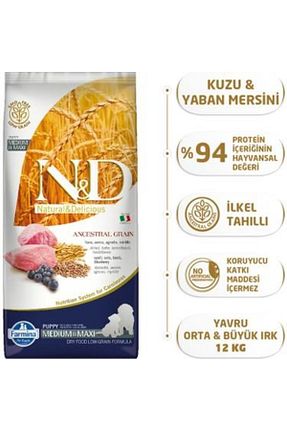  Yetişkin (1 - 7 سال) N & D - کد 29472659