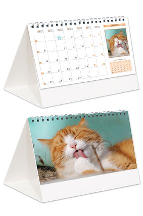 تقویم رنگی StickerArt - کد 170542708