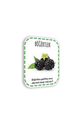 کتب فعالیتی و آموزشی 0 - 3 سال Çocuk Akademi - کد 286155689