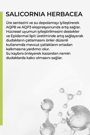بالم لب و پیلینگ Onarıcı KNOWN. - کد 839826664