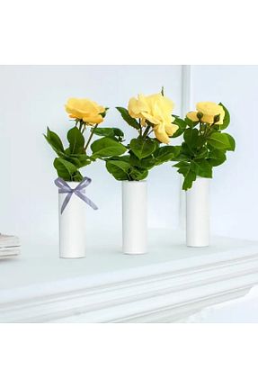 سایر لوازم لوازم جشن و مهمانی سفید DenizYalıtım - کد 863937084