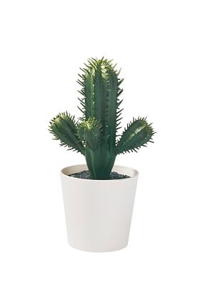 گل خشک و مصنوعی سبز IKEA - کد 865214194