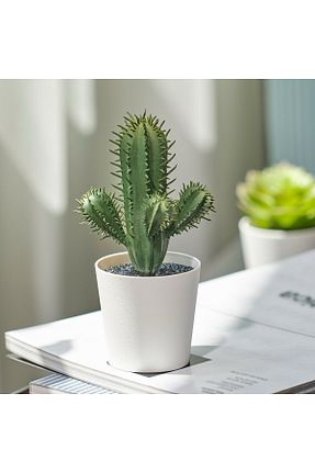 گل خشک و مصنوعی سبز IKEA - کد 865214194