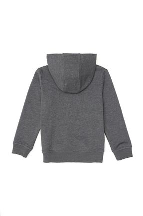 سوئیشرت طوسی بچه گانه ساده U.S. Polo Assn. - کد 865438630