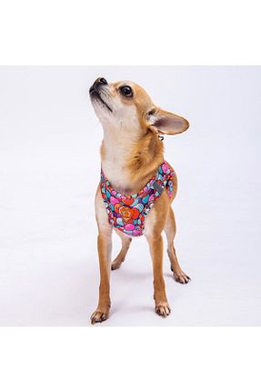 Günlük Ayakkabı رنگی Pawstar - کد 734213147