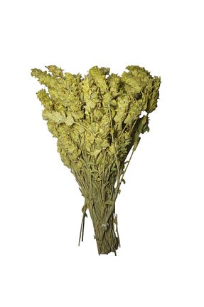 چای مریم گلی akdeniz hazinesi - کد 866253588