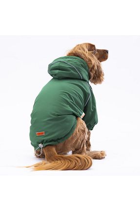  رنگی Pawstar - کد 371990952