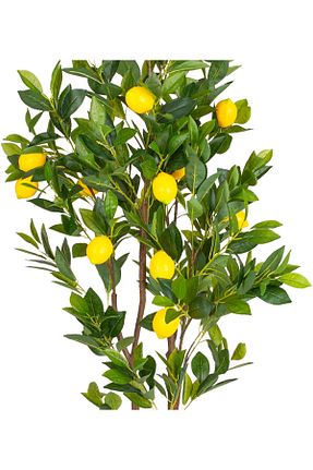 گل خشک و مصنوعی سبز Herdekora - کد 866969099