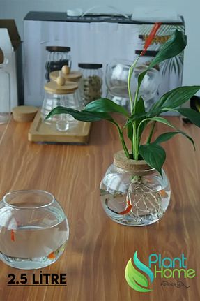 گلدان نارنجی Plant Home Power Mix - کد 867157654