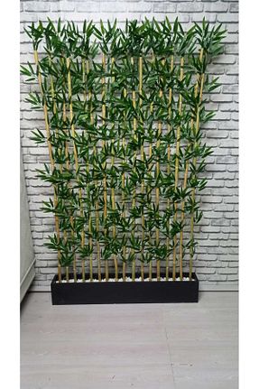 صفحه نمایش و جداکننده مشکی ERHAN FLOWERS - کد 365445036