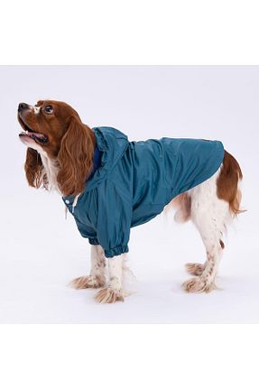  آبی Pettrend - کد 772495664