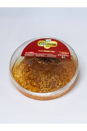 عسل BİNGÖL ÇAPAKÇUR BAL - کد 169878551