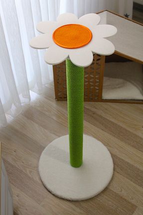  سبز Pettosh - کد 641048660