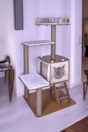  بژ Patihomes - کد 311497021