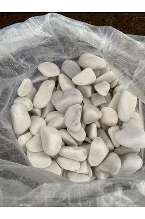 دکوراسیون و اکسسوری اکواریوم Smargat - کد 869064346