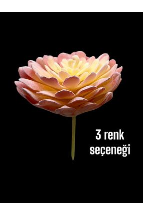 گل خشک و مصنوعی نارنجی DDTREND - کد 869394477