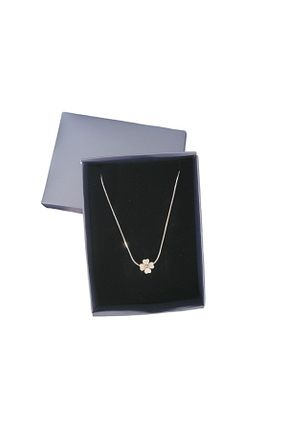 گردنبند استیل ( فولاد ) زنانه استیل (فولاد) NT Shop - کد 868525412