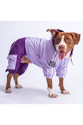  بنفش Pawstar - کد 776562200