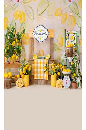 اکسسوری عکاسی و فیلم برداری رنگی Nişantaşı Grup - کد 869585816
