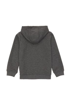 سوئیشرت طوسی بچه گانه ساده U.S. Polo Assn. - کد 869219520