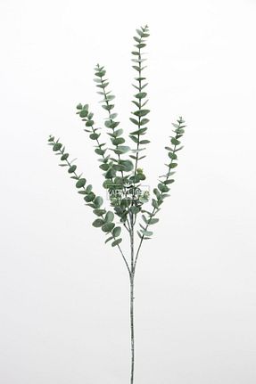گل خشک و مصنوعی سبز Yapay Çiçek Deposu - کد 870105135