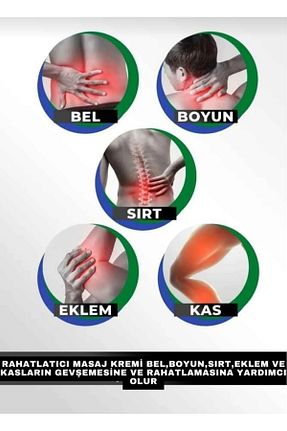  SİNA LOKMAN HEKİM - کد 871682761