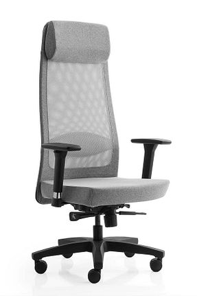 صندلی مطالعه طوسی İleri-Geri Hareketli XDrive - کد 844273582