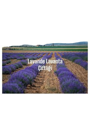 سایر چای های گیاهی Lavande Lavanta Çiftliği - کد 861756950