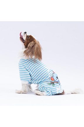  آبی Pawstar - کد 825519896