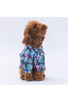  سبز Pawstar - کد 829196120