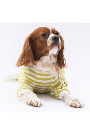  سبز Pawstar - کد 825516876