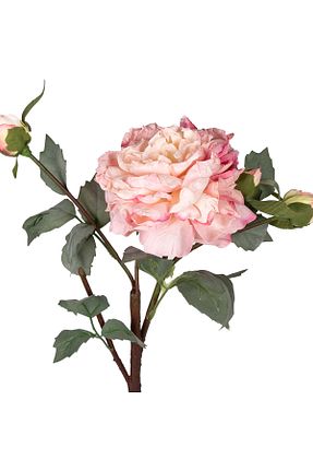 گل خشک و مصنوعی صورتی Herdekora - کد 870090835