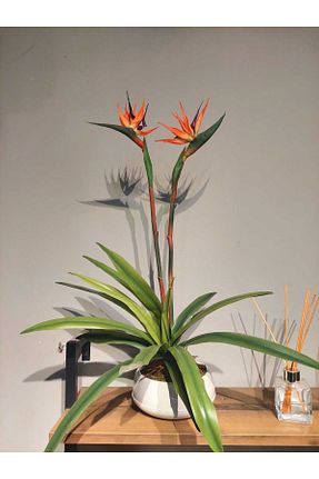گل خشک و مصنوعی رنگی MAKİ DEKOR - کد 870721088
