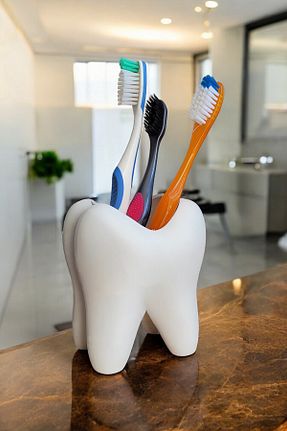 جای مسواک سبز پلاستیک ToXA - کد 869404567
