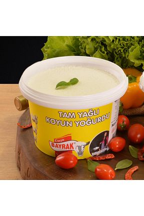 ماست Bayrak - کد 35834501