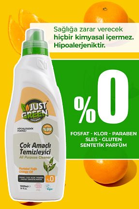 پاک کننده سطح Just Green Organic - کد 6895968