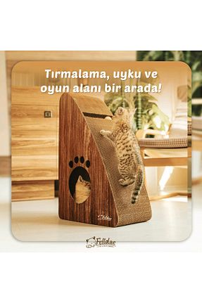  قهوه ای Felidae - کد 688065004