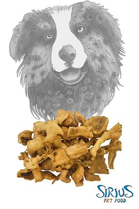  Sirius Pet Food - کد 872887436